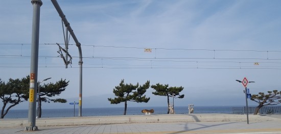 드라마 모래시계 촬영지 정동진역 드라마 모래시계 촬영지 정동진역