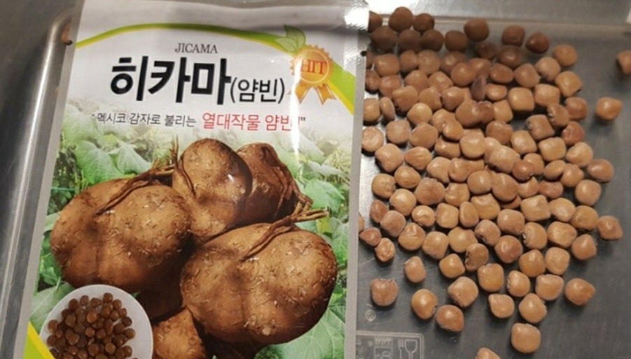 작은농부카페 사진 5
