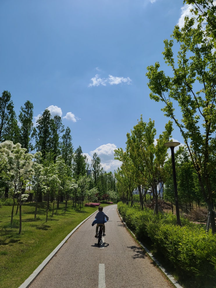 세종 가볼만한 곳 - 세종호수공원 자전거 타면서 즐기기(2021.05.02)
