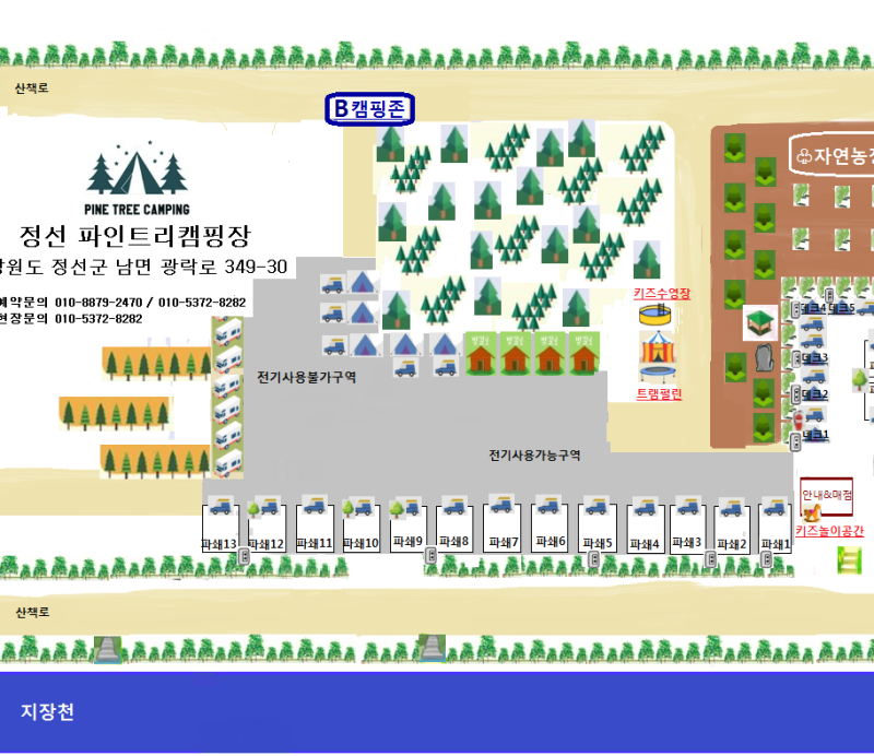 파인트리캠핑장 이미지