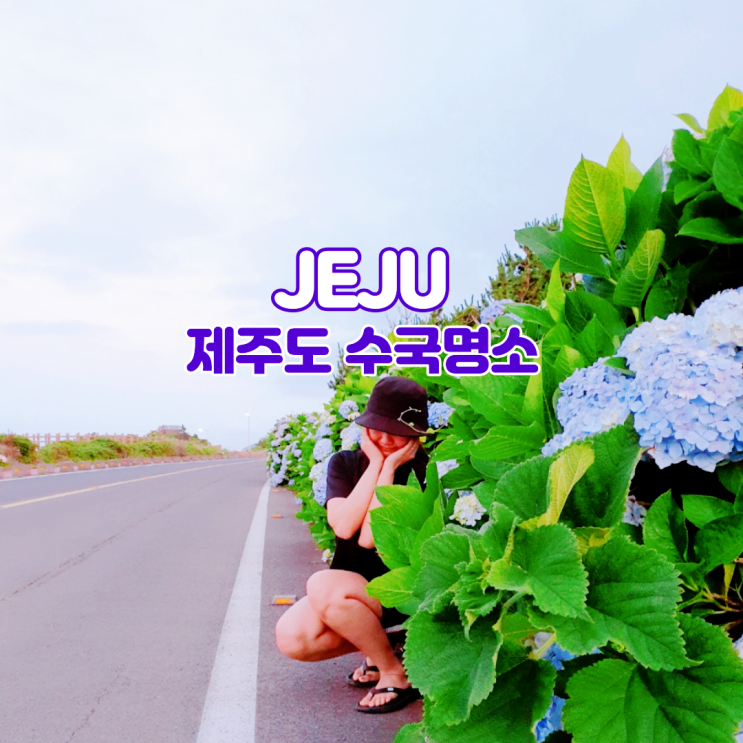  제주도 수국축제 명소 제주도 수국길
