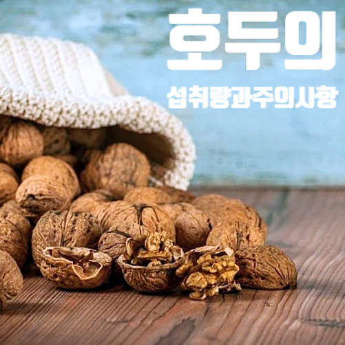  호두 섭취량과 주의사항!!