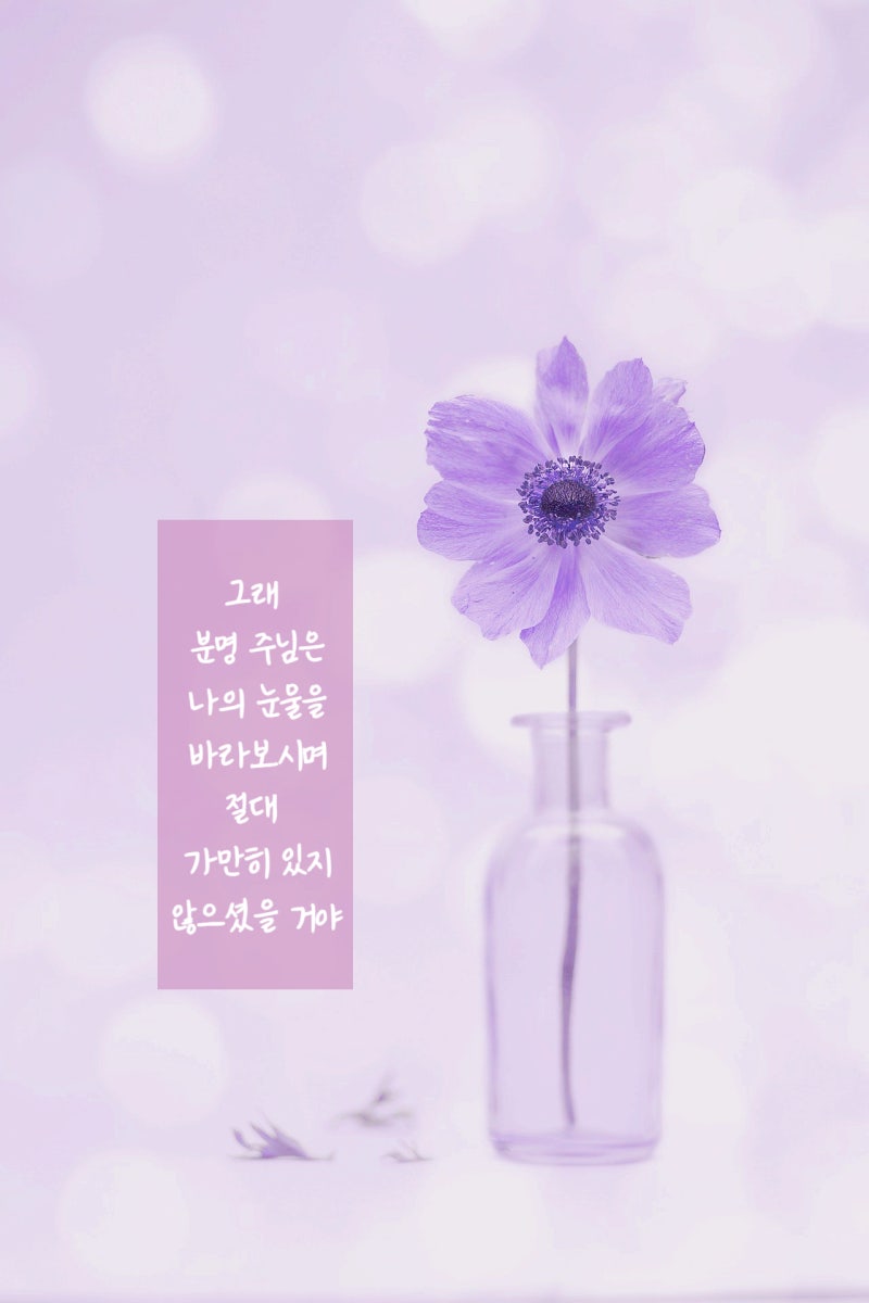 실환가진짜 가사를그냥짜집기한수준인데 처음은걍똑같음, image size:800x1200