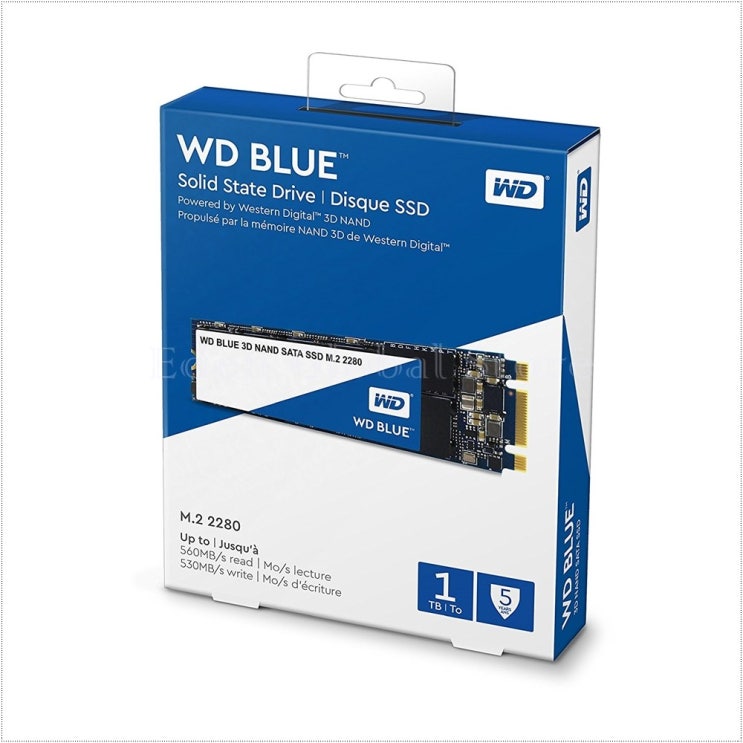 인기있는 웨스턴디지털 블루 1TB M.2 2280 SSD, WDS100T2B0B ··· 인기있는 웨스턴디지털 블루 1TB M.2 2280 SSD, WDS100T2B0B ···