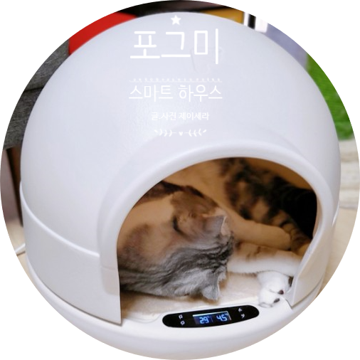  반려동물 IOT 스마트 고양이숨숨집 포그미 개봉기 (고양이용품)