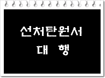  탄원서 대행으로 선처 호소