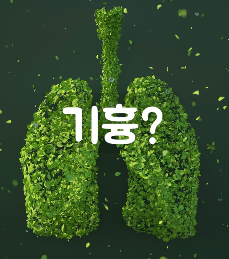  기흉 증상 치료 원인 진단 수술 군대 폐기흉 관리 후유증 흉부외과 호흡기내과  소아청소년과