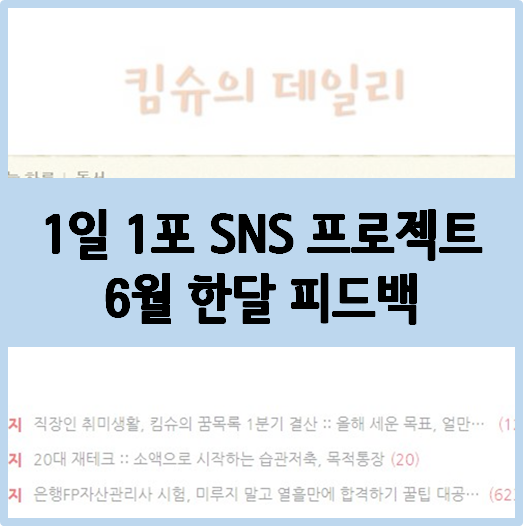  [1일 1포 프로젝트] 킴슈의 6월 한달 피드백 :: 조금 흐트러졌더라도 한달 마무리하기