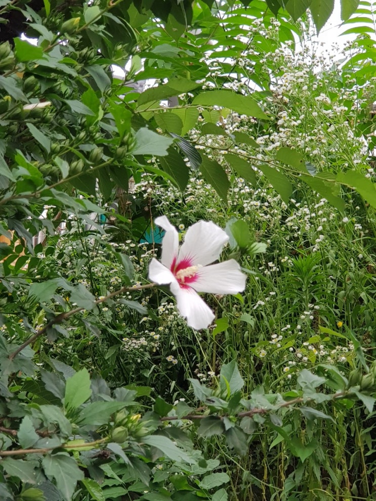 마음의 정리수납