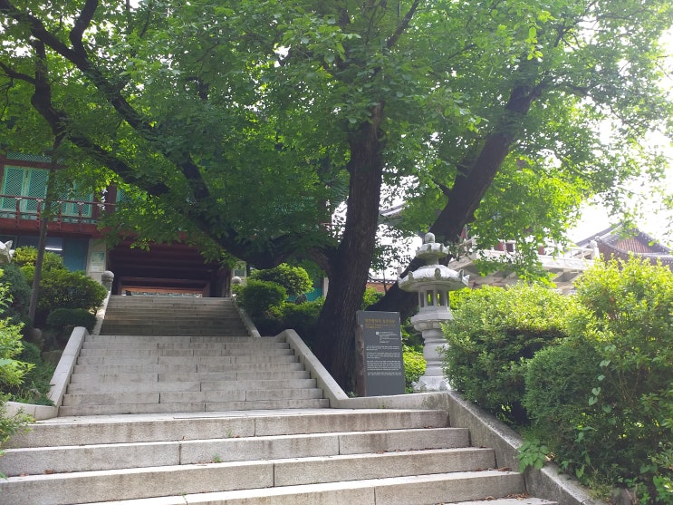 호두나무가 처음 전래된 사찰.  충남 천안 광덕사(廣德寺)를 다녀왔습니다.