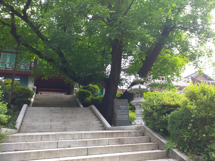  호두나무가 처음 전래된 사찰.  충남 천안 광덕사(廣德寺)를 다녀왔습니다.
