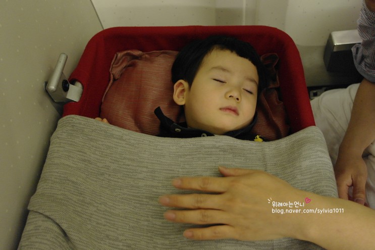 [여행정보] 아시아나항공 유아용 요람 (Baby bassinet)