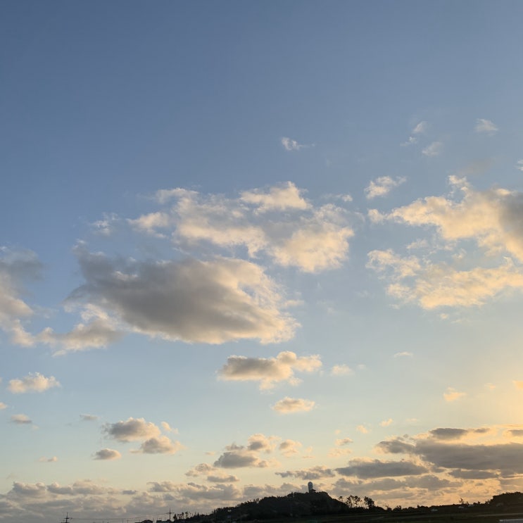  산본 화이자백신 1차 접종 리얼후기 (만29세)