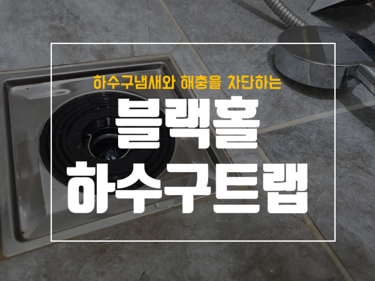 블랙홀 트랩으로 욕실 하수구 냄새 제거 및 해충 차단하기