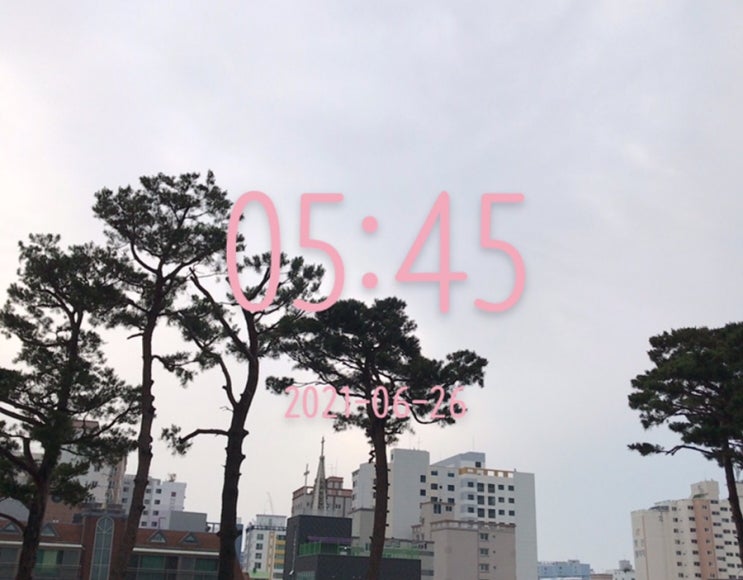  다시, 알찬하루 만들기~ (34일차)