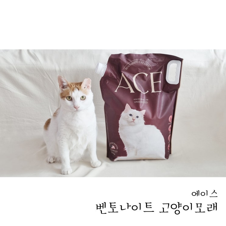  고양이모래추천 먼지 없는 에이스 벤토나이트