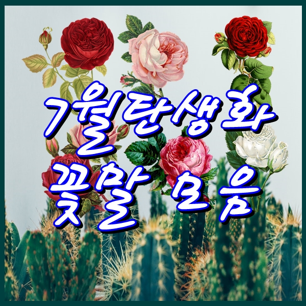  7월 탄생화와 꽃말 일자별 정리