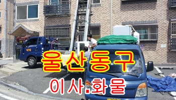 울산동구용달 방어진 전하동 일산동. 울산동구용달 방어진 전하동 일산동.
