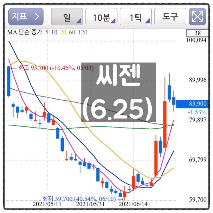  [미자의 주식일기] 씨젠(6.25)
