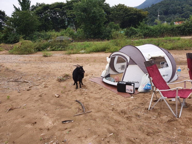  청평계곡 1박2일 무료 캠핑  한적한곳