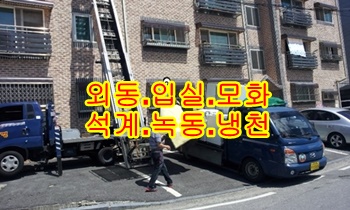 외동용달 입실 모화 용달차. 외동용달 입실 모화 용달차.