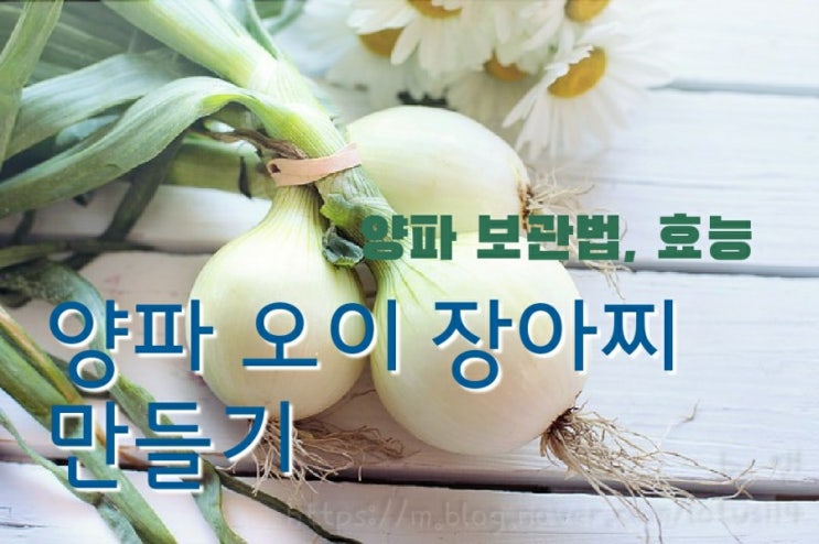  양파 오이 장아찌 만들기, 삼겹살 고기요리에 찰떡 궁합인 양파의 효능, 보관법
