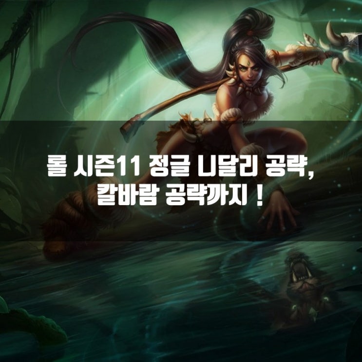 롤 시즌11 정글 니달리 룬및 공략, 칼바람니달리 롤 시즌11 정글 니달리 룬및 공략, 칼바람니달리