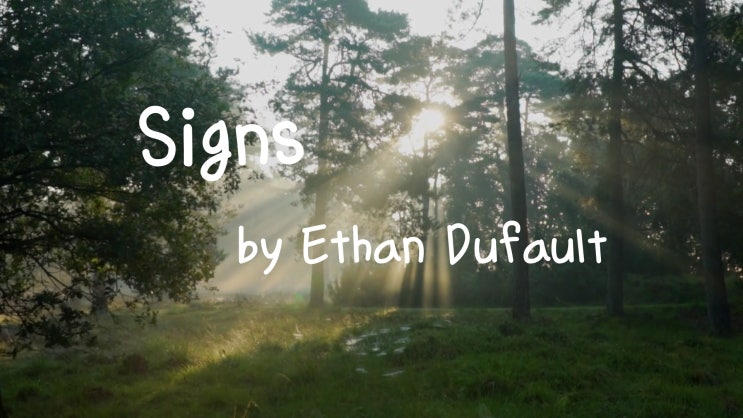 [Lyrics] Signs - Ethan Dufault / You’re something special / But damn you’re stressful