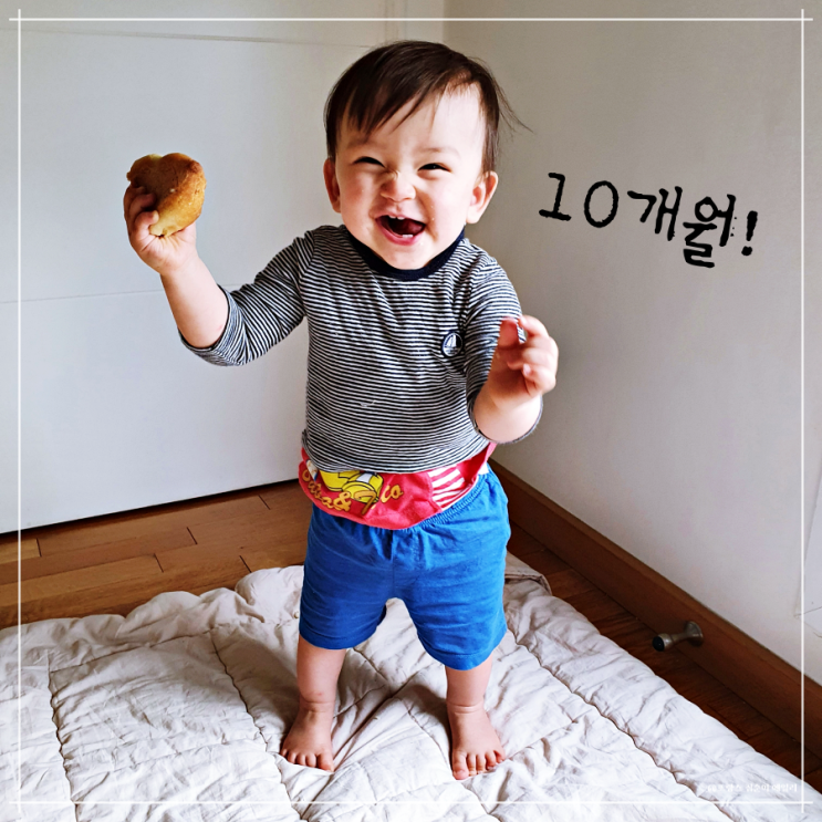  10개월 아기 발달, 손떼고 서있기, 본격 책육아, 놀아주기, 이유식 거부 왔다감