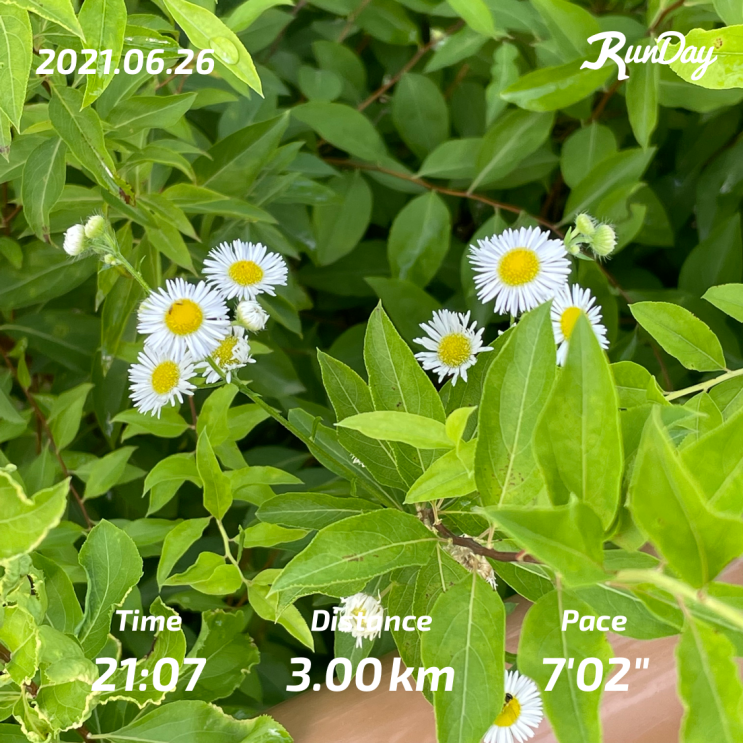  #34. 운동 일기 - 210626 러닝, 3km 달리기. 7분 페이스!!