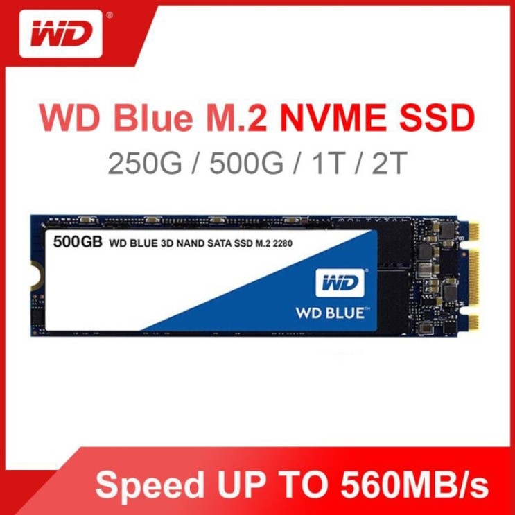 잘나가는 SSD WD 블루 M.2 250 GB 500 GB 1 테라 바이트 솔리드 드라이브 하드, 250GB ···