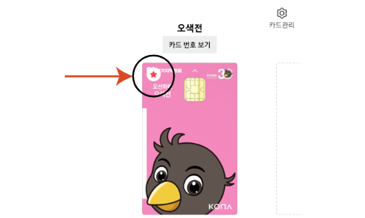  지역화폐 오색전 카드/주카드 설정 
