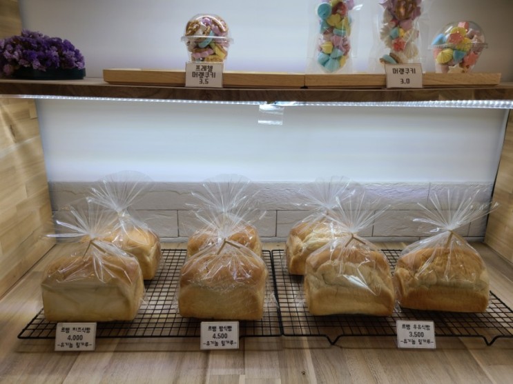 [대구-화원] 유기농 식빵 및 마카롱 전문점 - 엘리마카롱