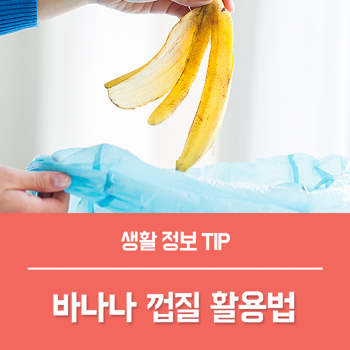 바나나 껍질 분리수거 음식물 쓰레기? 피부에 양보하세요