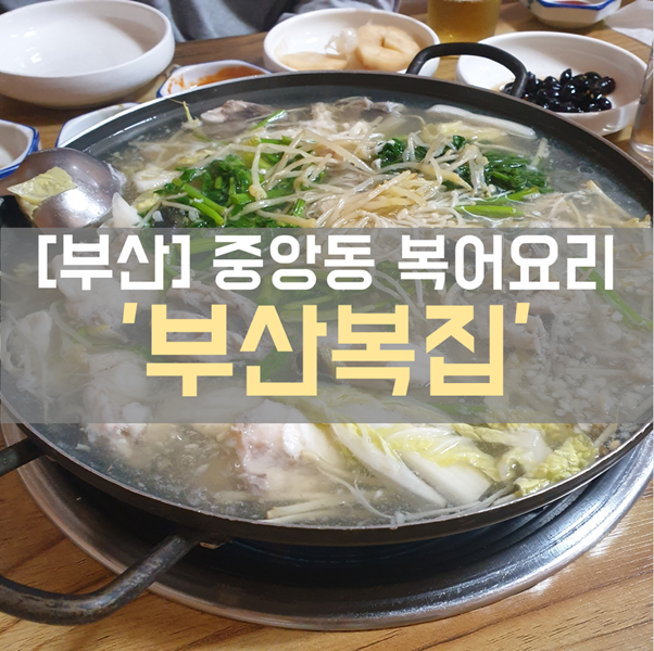 [부산 중앙동 맛집] 식사, 안주_복어 맛집 '부산복집'