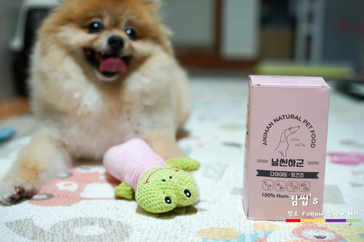  강아지 다이어트 및 장 건강에 좋은 '애니먼' 간식!