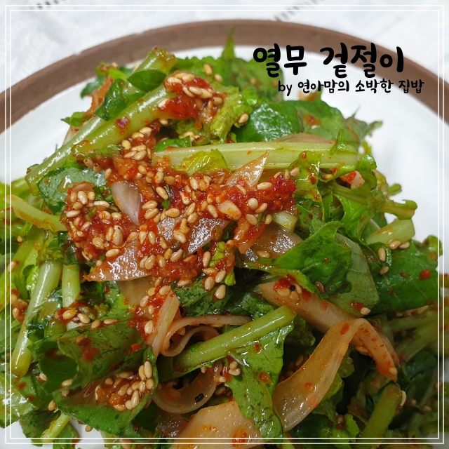  열무겉절이 어린열무겉절이 열무얼갈이 열무무침 열무비빔밥