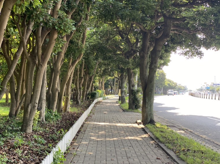  서귀포 강정동 가볼만한 곳 걷기 좋은 문화 공원