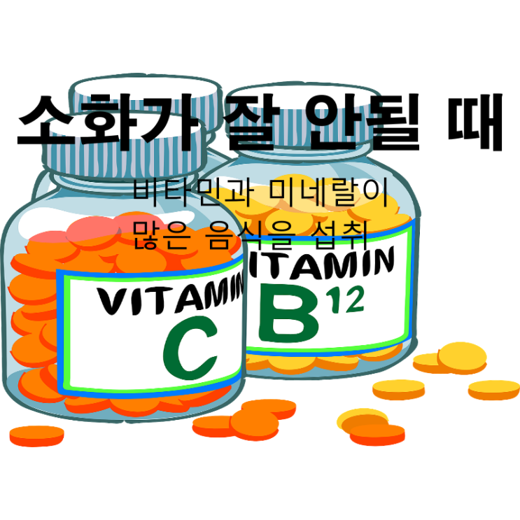  소화가 잘 안될 때는 비타민과 미네랄이 많은 음식을 섭취