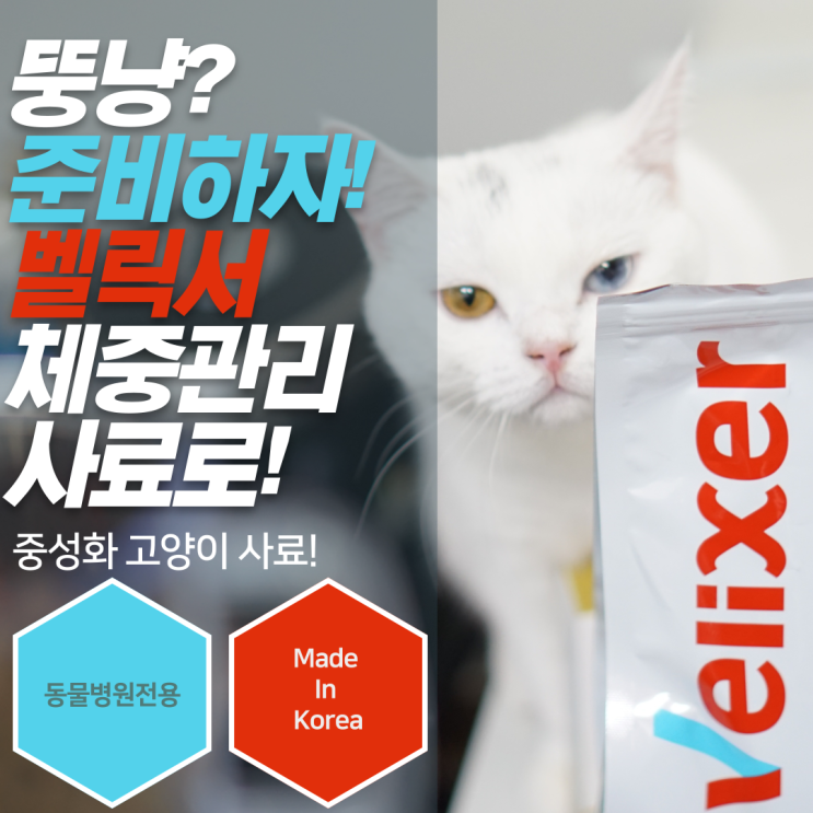  중성화 후 살쪄가는 체리, 이대로는 아니되오! 고양이다이어트사료 벨릭서 뉴터드 어덜트!