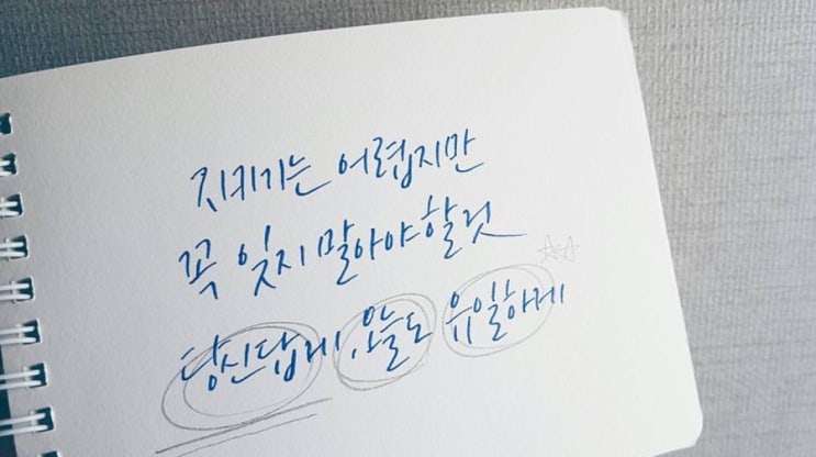  결정적 순간은 없다  한달어스 3일 독서  최선 à la sauvette