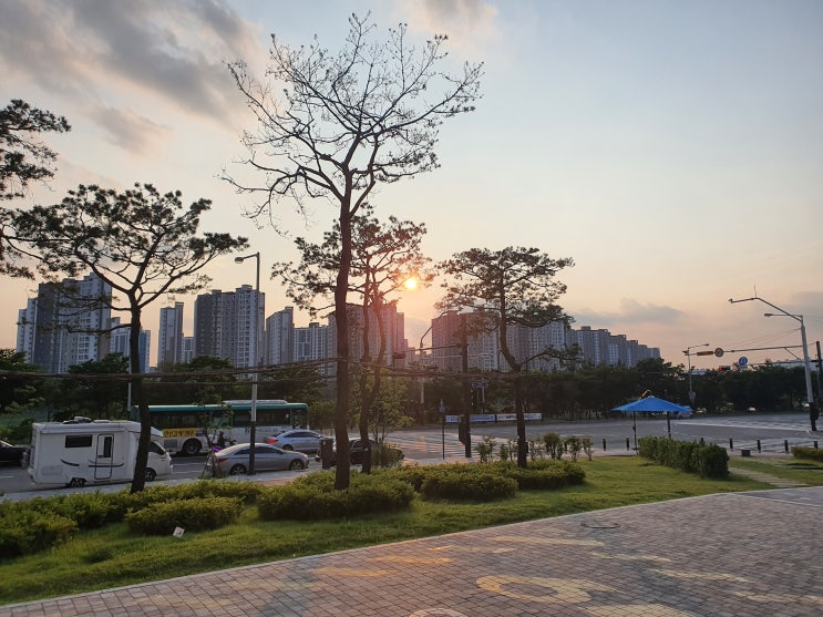  간만에 빡??세게 안산 산책.. 석양은 항상 답이다~