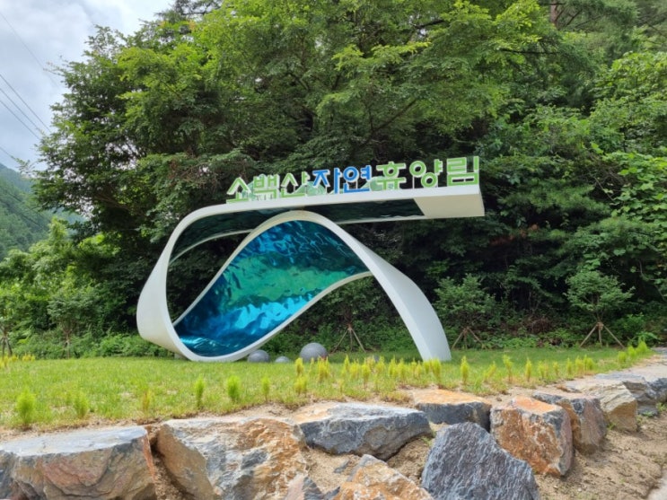  소백산자연휴양림 (정감록 명당 체험마을 염소자리) 후기