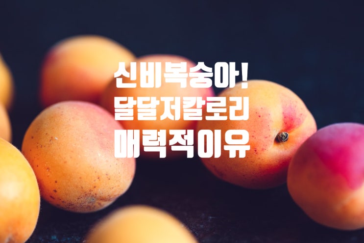  신비복숭아 칼로리 보관법 천도복숭아 씻는법 자르는법 효능 고당도 저칼로리 과일!