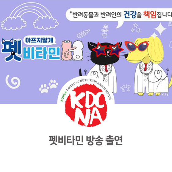  한국반려동물영양협회 경기지회 최수연 펫영양사 방송출연_818 [펫푸드자격증/반려동물영양사/펫비타민/반려동물영양학/펫푸드창업반/애견수제간식/부천/강화/인천/의정부/수원]