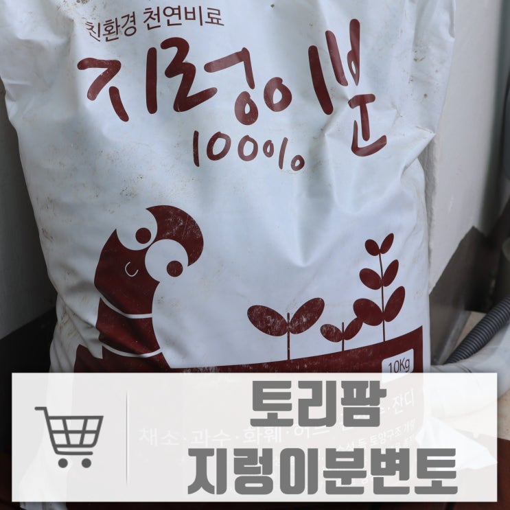  식물이 쑥쑥 자라는 분갈이 흙:: 토리팜 지렁이분변토