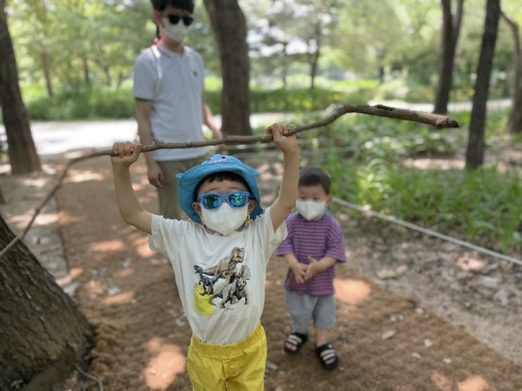  오늘도 자연과 놀기
