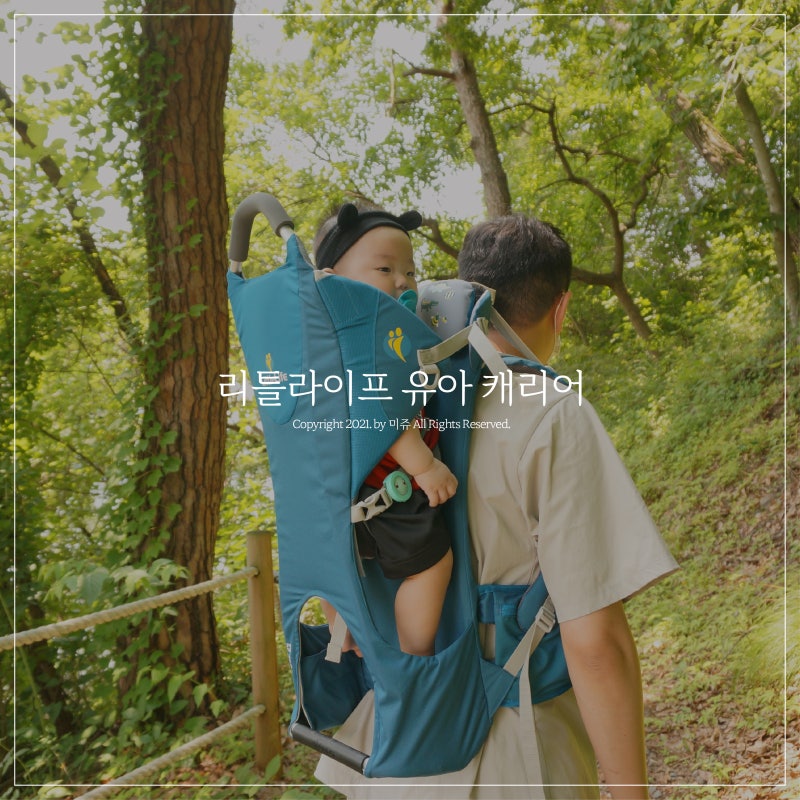 리틀라이프 유아등산캐리어 올인원아기띠 솔직후기
