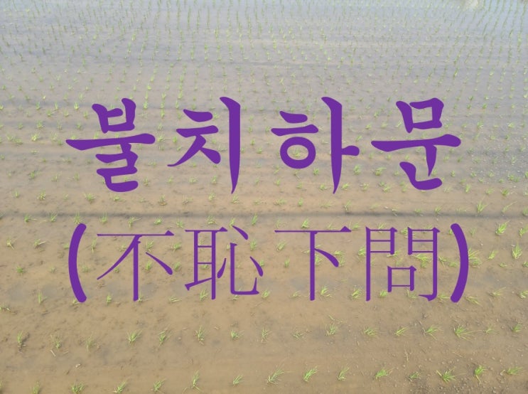  불치하문, 배움에는 위아래가 없다