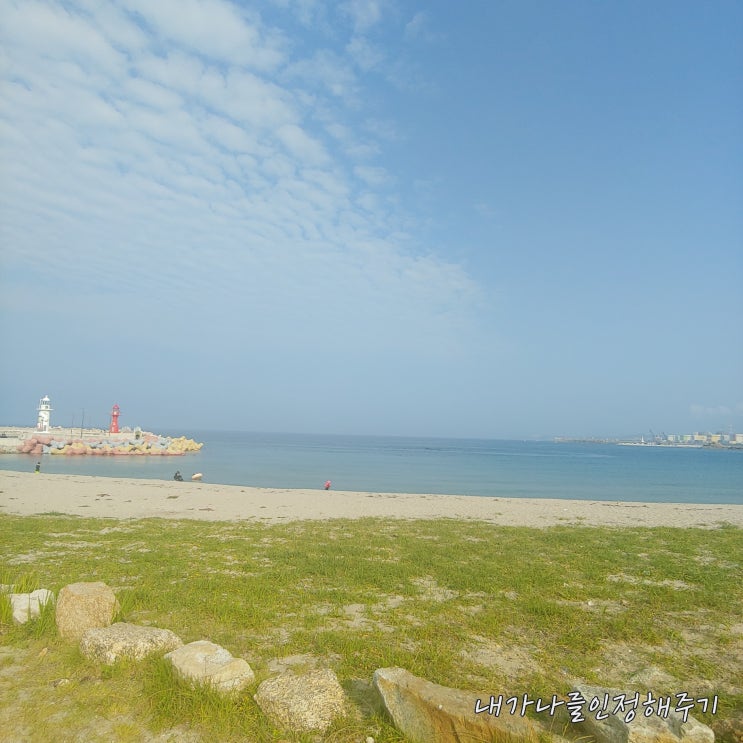  플로깅 처음 한 날(F. 대 집게 구입했어요), 오색 달팽이님의 선한 영향력!